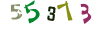 Güvenlik Kodu
